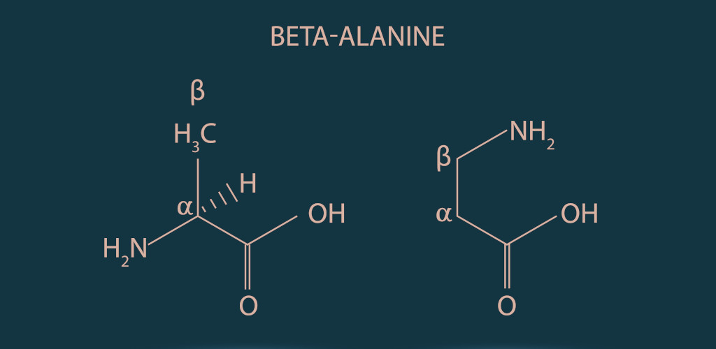 Beta Alanin: Was ist das und wie wirkt es?