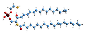 Phosphatidylserin