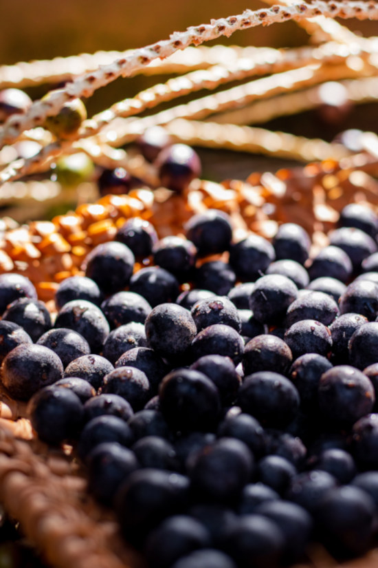 Acai beeren in Korb